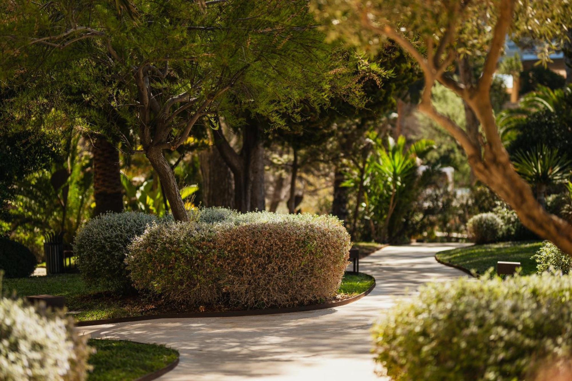 Secrets Mallorca Villamil Resort & Spa - Adults Only Peguera Eksteriør bilde A path at the resort